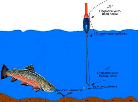 Особливості ловлі форелі в різний час року ― Риболовний магазин "у Кеса"