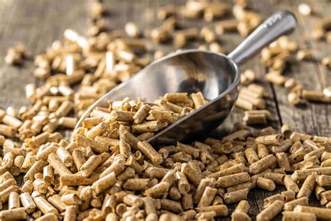 Should A Biomass Boiler Use Wood Pellets Or Chips