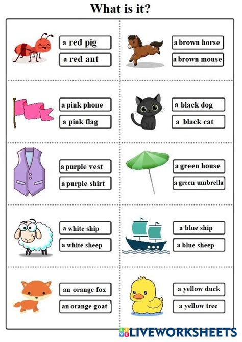 Colours Live Worksheets