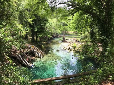 Lafayette Blue Spring State Park Visit Natural North Florida