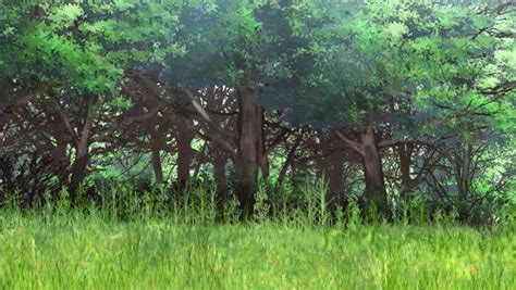 Anime Landscape: Forest (Anime Background)