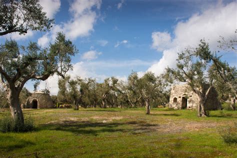 Paesaggio Rurale Imagens Procure Fotos Vetores E V Deos