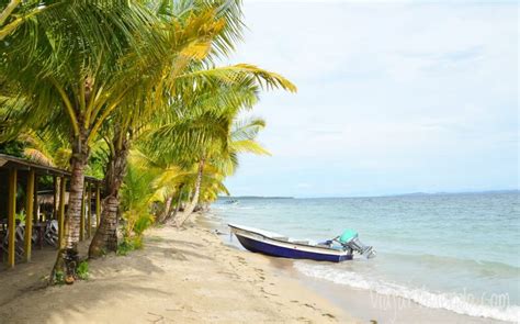 C Mo Llegar A Playa Estrella En Bocas Del Toro Gu A De Viaje