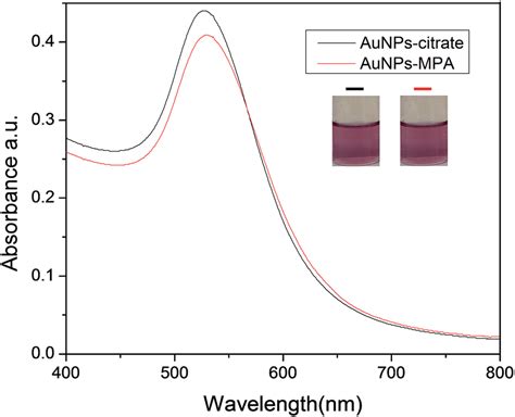 Uv Vis Spectra Of Aunpscitrate And Aunpsmpa Download Scientific Diagram