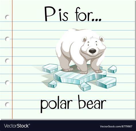 Flashcard Letter P Is For Polar Bear Royalty Free Vector