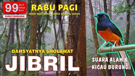 Sholawat Jibril Penarik Rejeki Menit Dengan Suara Kicau Burung