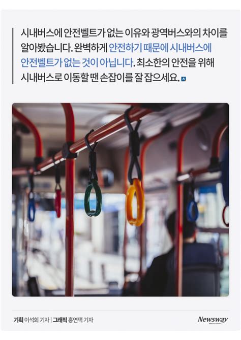 시내버스에는 왜 안전벨트가 없을까 Zum 허브