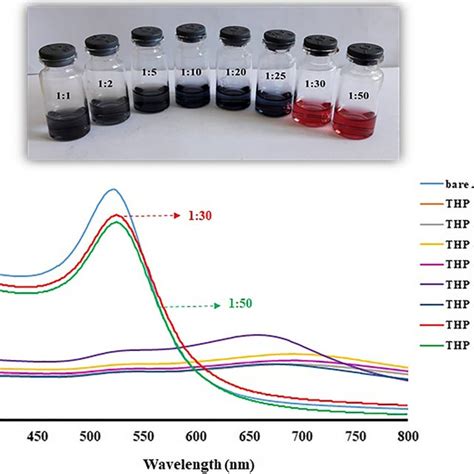 Concentration ratio effect on THP-AuNPs in absence of amino acids | Download Scientific Diagram