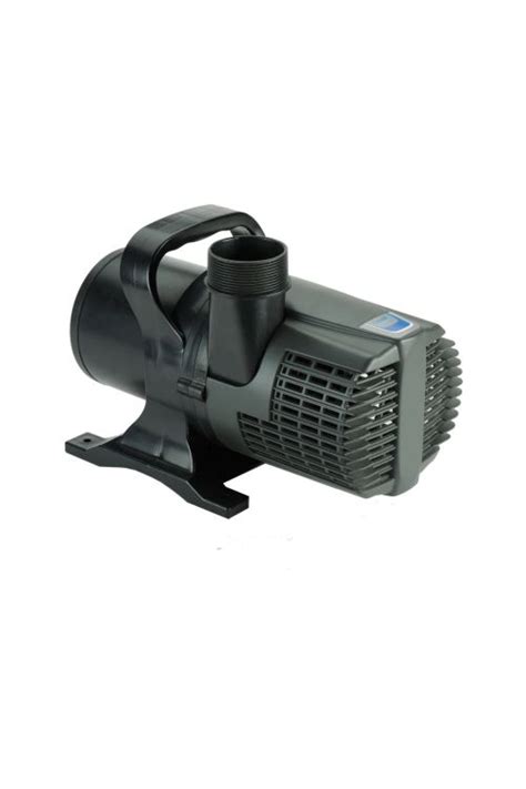 Submersible Pond Pump Everything