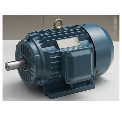 IE2 High Efficiency Cast Iron Three Phase Induction AC Electric Motor