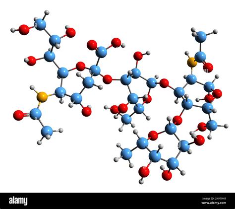 D Image Of Sialyl Lewisa Carbohydrate Antigen Skeletal Formula