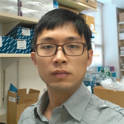 xuemin chen professor phd anhui university hefei school