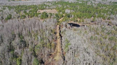 Twiggs County Ga 255 Acres Green Hill Land And Forestry