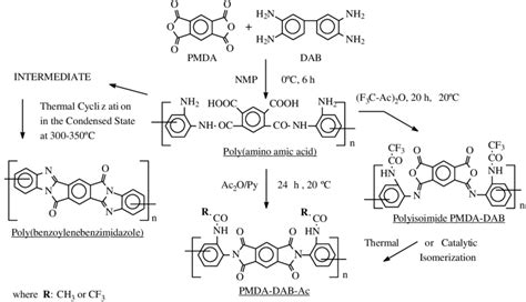 Scheme Catalytic Cyclodehydration Of Poly Amino Amic Acid Pmda Dab