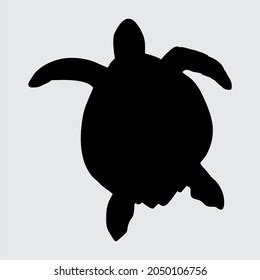 Turtle Silhouette Turtle Isolated On White Stock Vector (Royalty Free ...