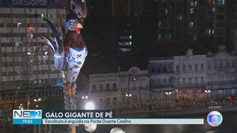 V Deo Galo Gigante Erguido Na Ponte Duarte Coelho No Centro Do