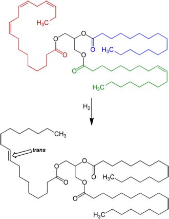 Trans fat - Wikipedia