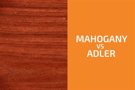 Mahogany Vs Alder Which One To Use Handyman S World