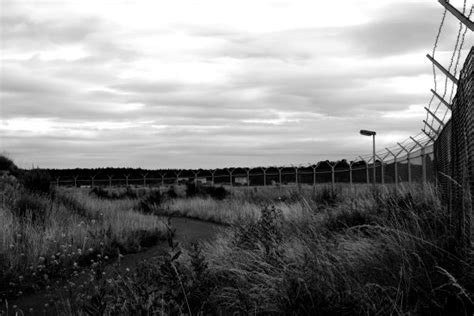 Free Images Tree Nature Branch Barbed Wire Black And White Wood