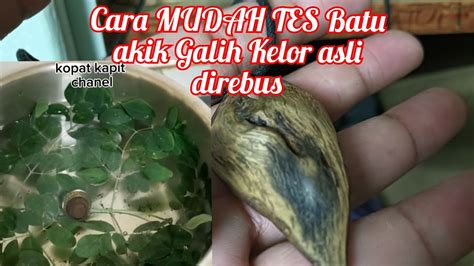 CARA MUDAH TES BATU AKIK GALIH KELOR ASLI DENGAN AIR DAN DAUN KELOR