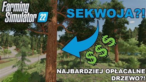 Farming Simulator Jakie Drzewo Jest Najbardziej Dochodowe Test