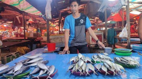 Segini Harga Terbaru Ikan Di Pasar Bersehati Manado Sulawesi Utara