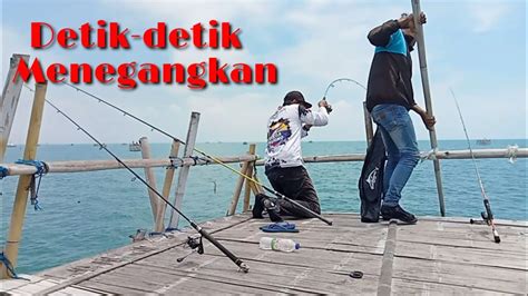 Mancing Bagan Barat Daya Pulau Laki Tarikan Tenggiri Bikin Panik