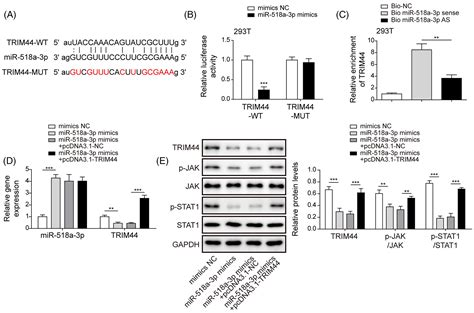 Exosomal Circnfix Promotes Angiogenesis In Ovarian Cancer Via Mir A