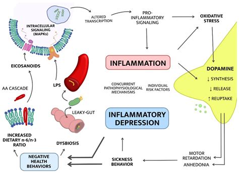 Ijms Free Full Text Inflammatory Depressionmechanisms And Non