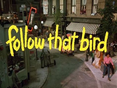 Follow That Bird | Film and Television Wikia | Fandom