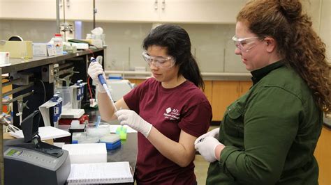 biochemistry hillsdale college
