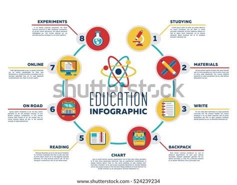 Education Infographic Chart Options Flat School Stock Illustration