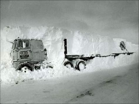 The Nest at Finch Rest: The Blizzard of '78