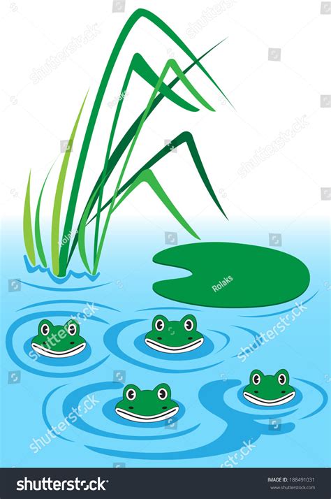 Illustration Of Four Funny Frogs In Water Shutterstock