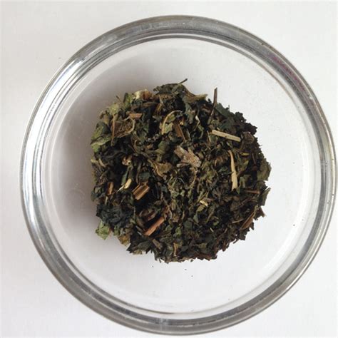 nettle leaf  herbwalker