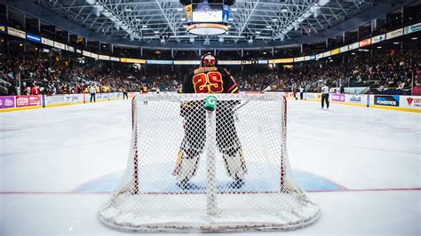 Men S Hockey Game Highlights Guelph Gryphons Vs Laurier Golden