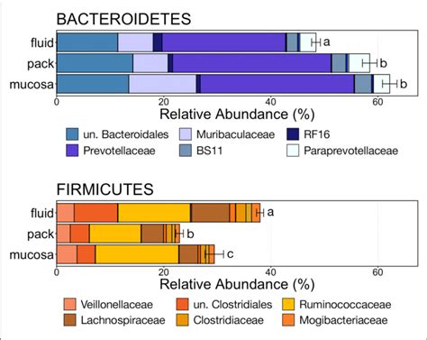 Bar Plot Showing The Relative Abundances Of The Phyla Bacteroidetes