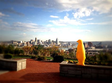 5 Cool Things To Do Memorial Day Weekend In Cincinnati 21c Cincinnati