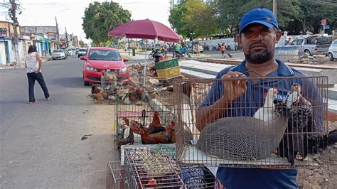 Vanio Da Feira Das Galinhas Registrando A Feira De Arapiraca Na Linha