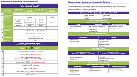 SOLUTION Pals Study Guide Studypool