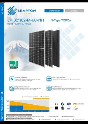 Module photovoltaïque Leapton LP182 182 M 60 NH 480 480W Noir merXu