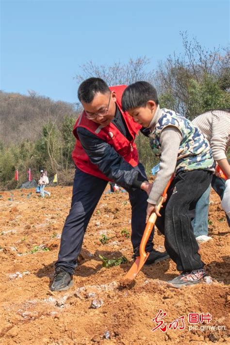 不负春光好 义务植树忙 光明网