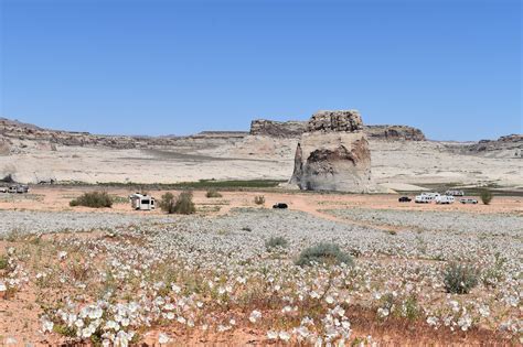 KUTV2news On Twitter BEFORE AFTER Lake Powell Has Risen Just