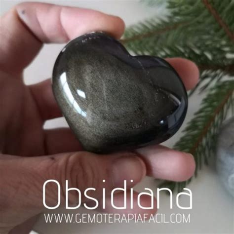 Coraz N Obsidiana Plateada Gemoterapia F Cil Tienda De Minerales Online