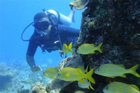 Diving Tour In Catalina Island Hour Guided Adventure With Lunch