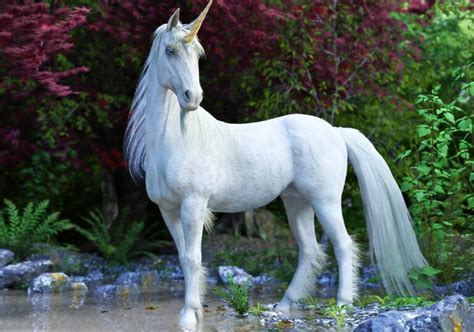 Unicorns Were Real But Not Quite Beautiful As You Had Imagined