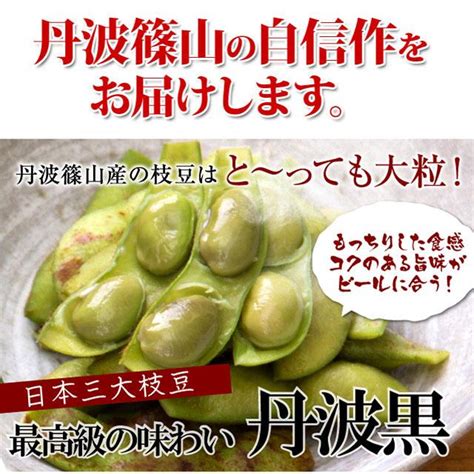 2023 販売開始【送料無料 数量限定】本場 丹波 黒枝豆 ＜ 枝豆 500g × 5袋 さや ＞ T 5 もっちり 大粒 丹波 黒豆