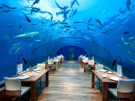 World S Most Incredible Hotels Underwater Restaurant Underwater