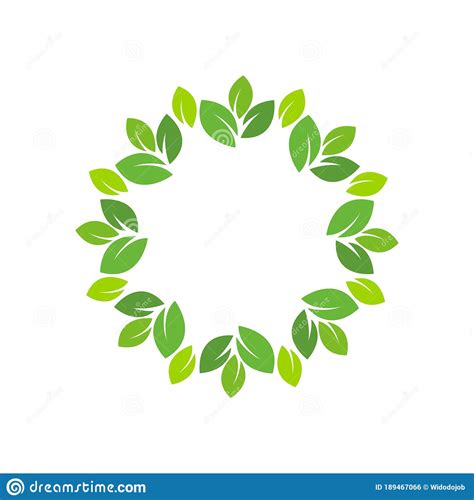 Leaf Circle Leaves Stock Vector Illustration Of Flora 189467066