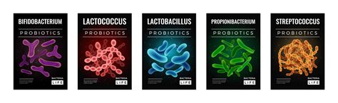 Probiotics Infographic Set Royalty Free Vector Image